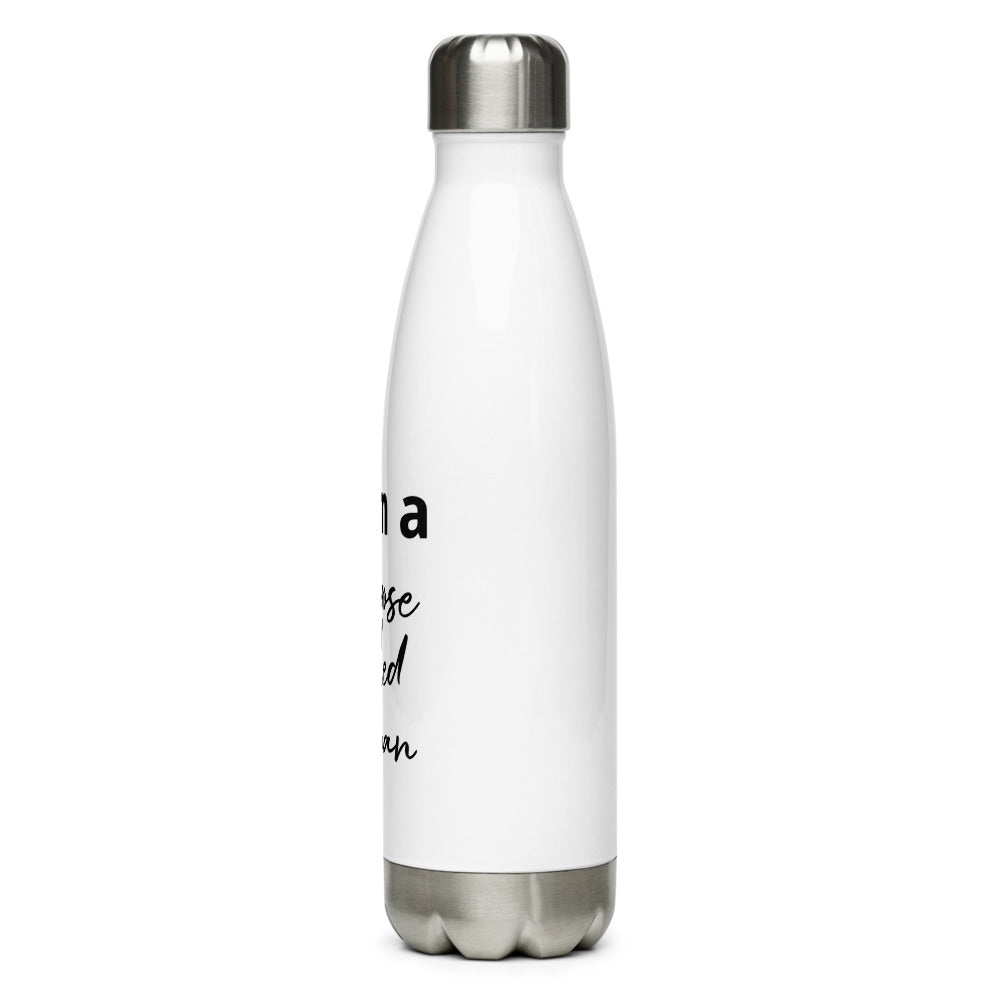 Stainless Steel Water Bottle