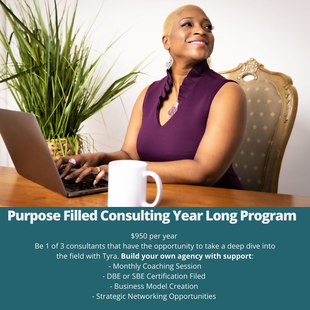 Year Long Purpose Filled Consulting Coaching Program